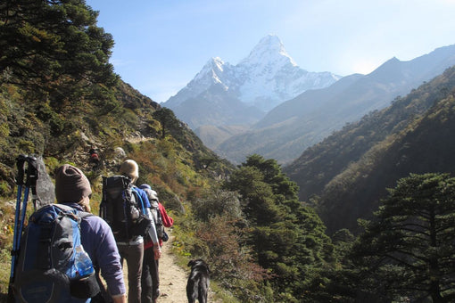 Stuart Ritchie expedition fitness coach high altitude trekking preparation